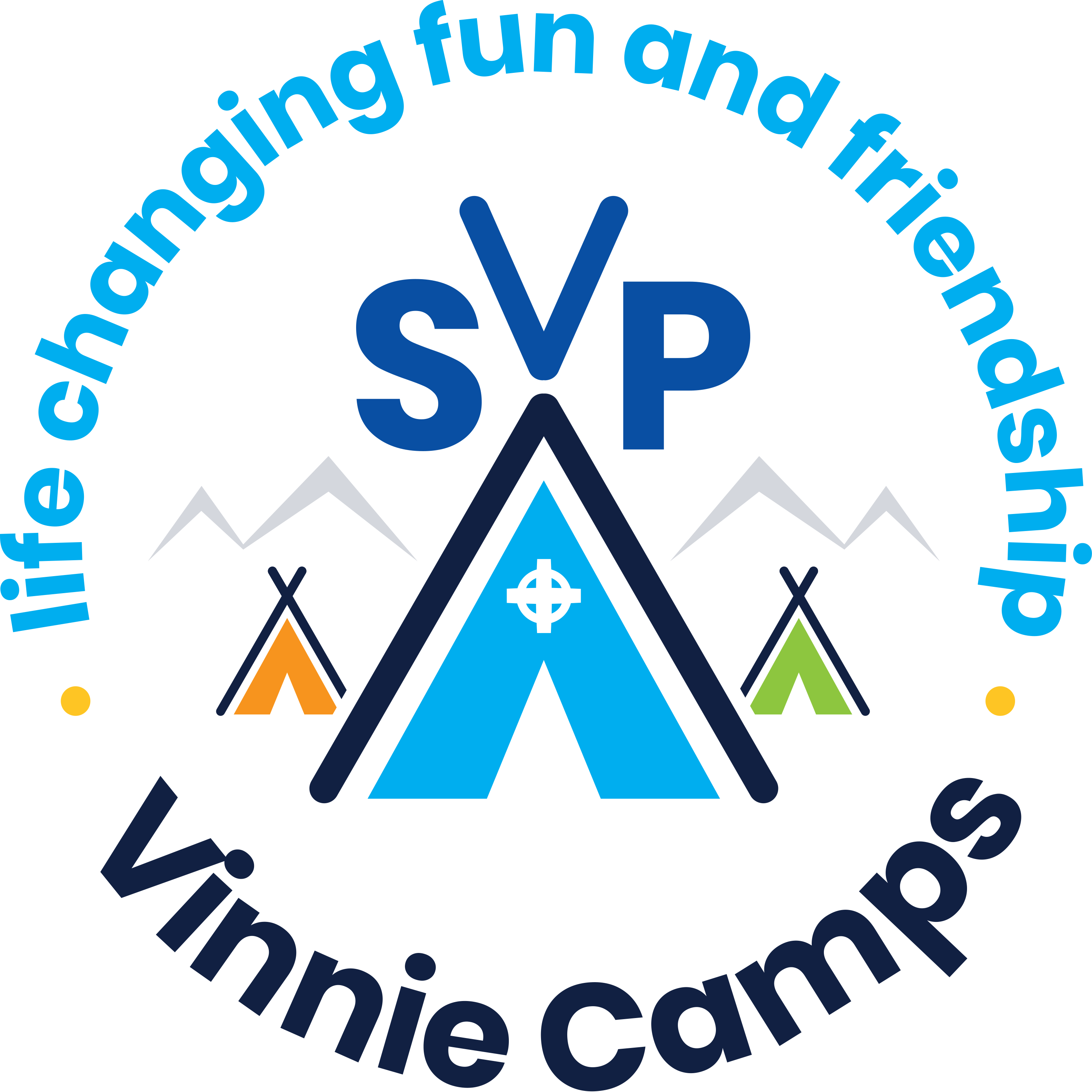 Vinnie Camp logo