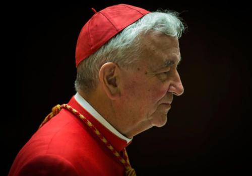 Cardinal Vincent Nichols praises the SVP